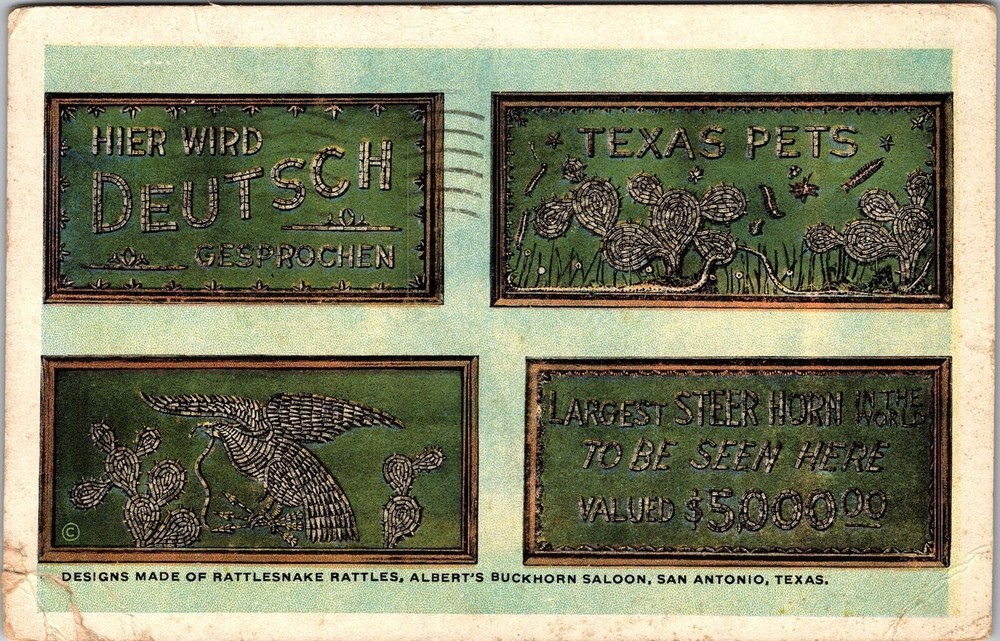 San Antonio TX-Texas, Designs made Rattlesnake, Vintage Postcard