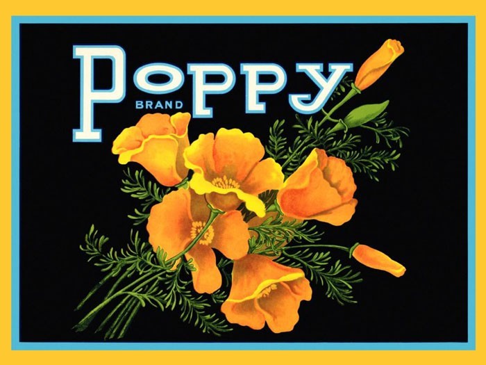 Crate Label Beautiful Poppy Yellow Flowers Fine Vintage Poster Repro FREE S/H
