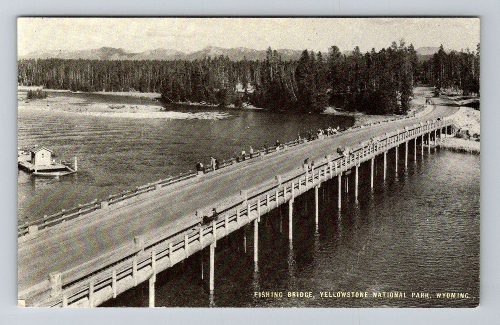 Yellowstone Park WY-Wyoming, Fishing Bridge, Vintage Postcard