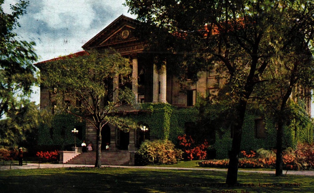 Chicago Academy Of Science, Lincoln Park, Chicago, Illinois, Vintage Postcard-image