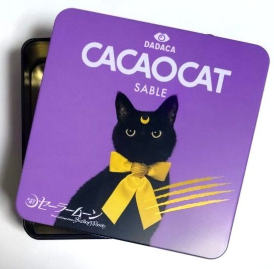 Sailor Moon x CacaoCat Luna Chocolate Cookie Sable Tin Collectible - Empty