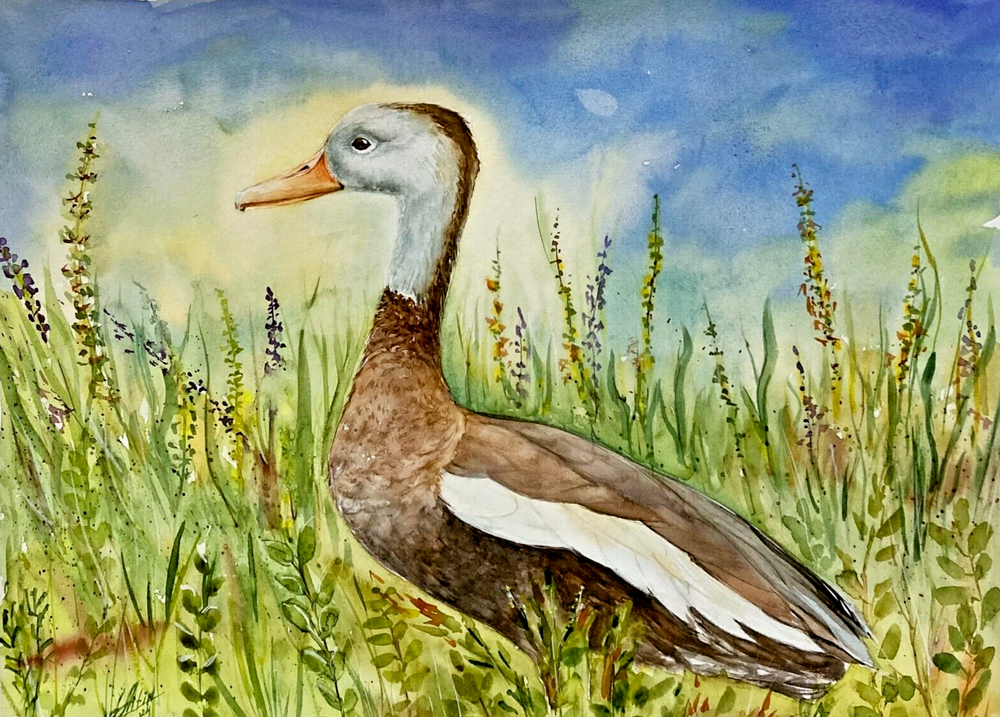 Duck Flowers Sky Watercolor Original Painting