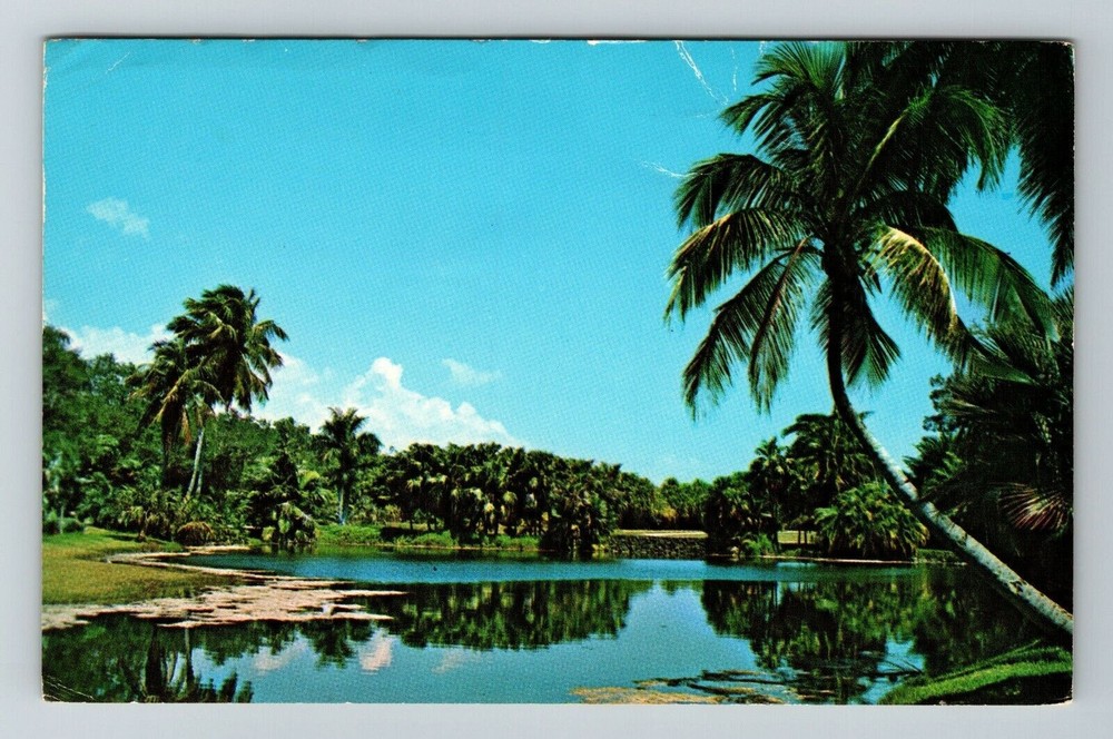 Miami FL-Florida, Fairchild Tropical Garden  Vintage Souvenir Postcard