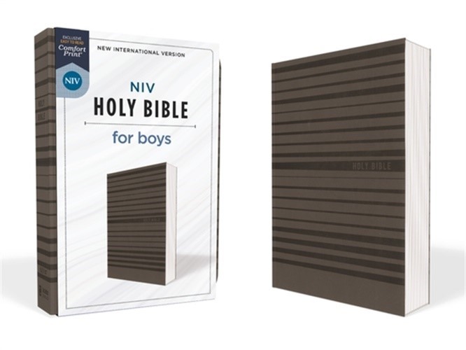 Niv, Holy Bible for Boys, Soft Touch Edition, Leathersoft, Gray, Comfort Print (