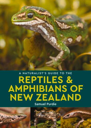 A Naturalist's Guide to the Reptiles & Amphibians Of New Zealand by Purdie: Used