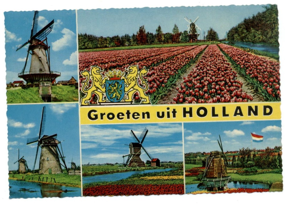 Netherlands Groeten uit Holland Windmills tulips multiview ~ postcard sku717