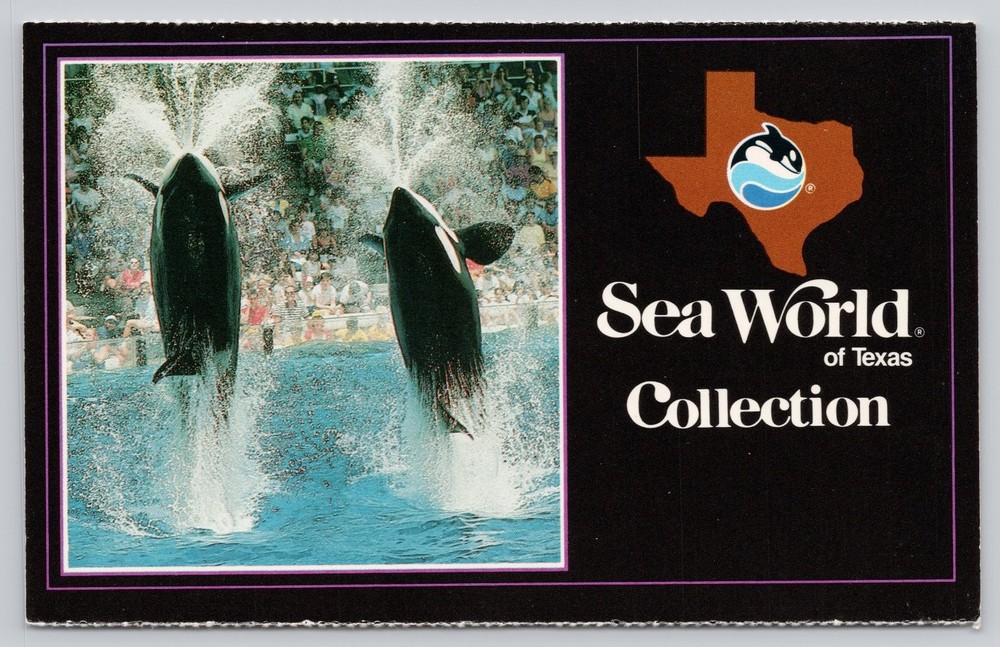 Vintage 1988 Sea World Texas Shamu & Kandu Orca Killer Whale Postcard