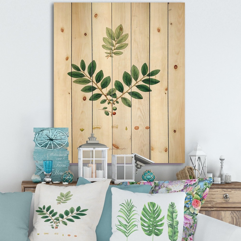 Designart 'Vintage Plant Life XIV' Farmhouse Print on