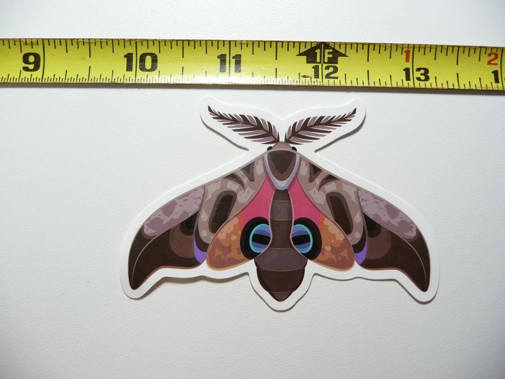 Cute Moth Decal Sticker Fun Bug Insect Design #5