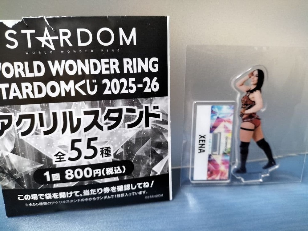 XENA Gina Pro Wrestling Stardom Acrylic Stand Unopened Japan Toy