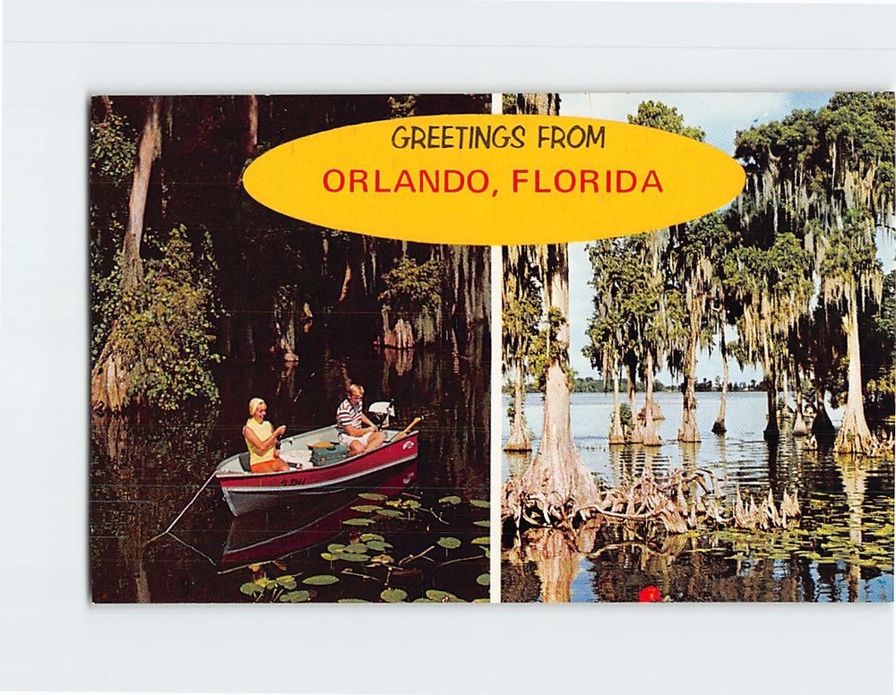 Postcard Greetings From Orlando Florida