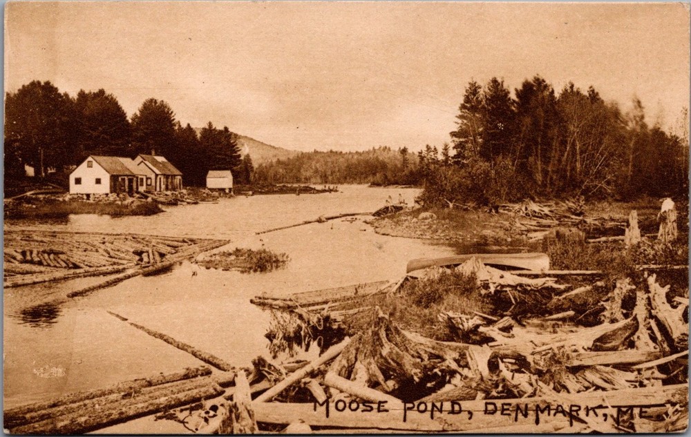 Moose Pond Denmark ME Postcard Early Log Drive Lumber Industry View
