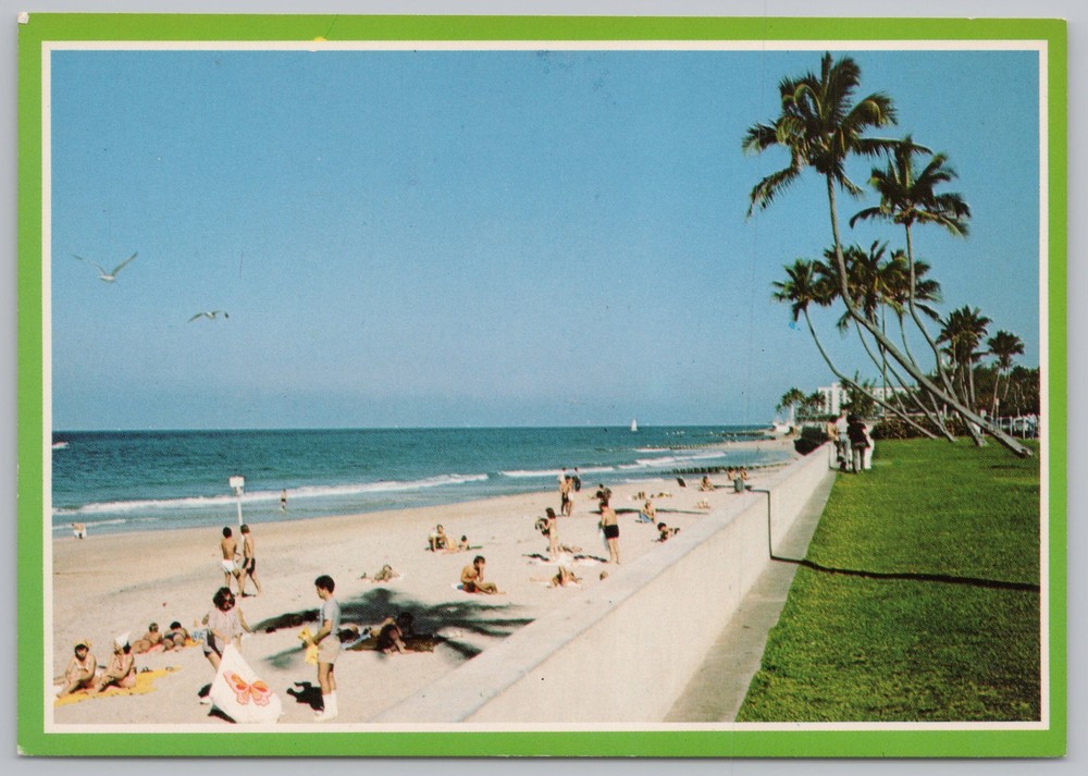 State View~Families On Palm Beach In Florida~Continental Postcard