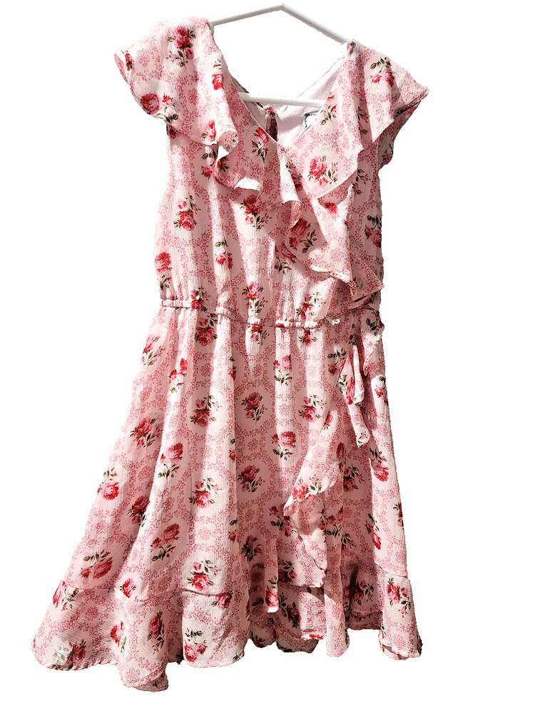 D-Signed girls size 6 Disney Beauty and the Beast ruffle dress. Roses.