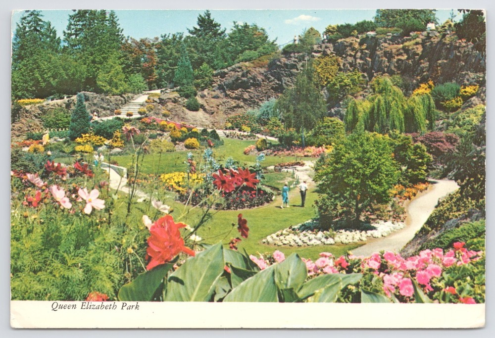 Foreign~Flowers Blooming In Queen Elizabeth Park~Vancouver Canada~Continental PC