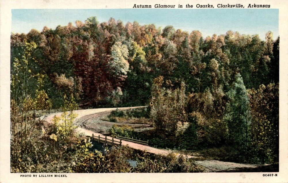 Autumn, Ozarks, Clarksville, Arkansas, Lillian Mickel, Curteich-Ch Postcard