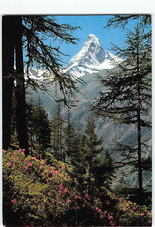 Postcard Matterhorn Mountain Zermatt Switzerland