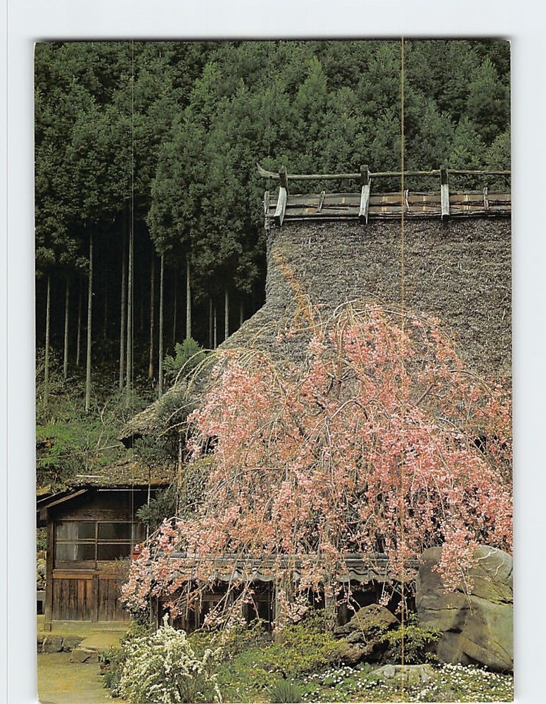 Postcard Spring Scene at the Countryside of Kyoto Japan