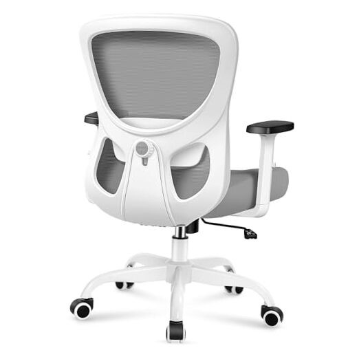 Ergonomic Office Chair with Adjustable Lumbar Support and Swivel