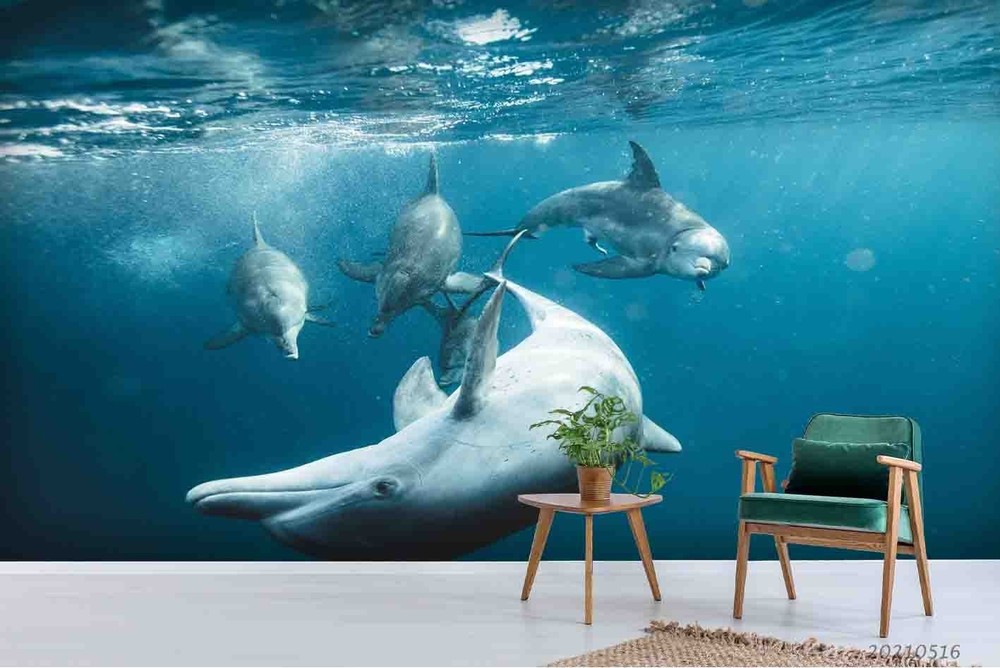 3D Ocean Dolphin Close-up Wall Murals Wallpaper Murals Wall Sticker