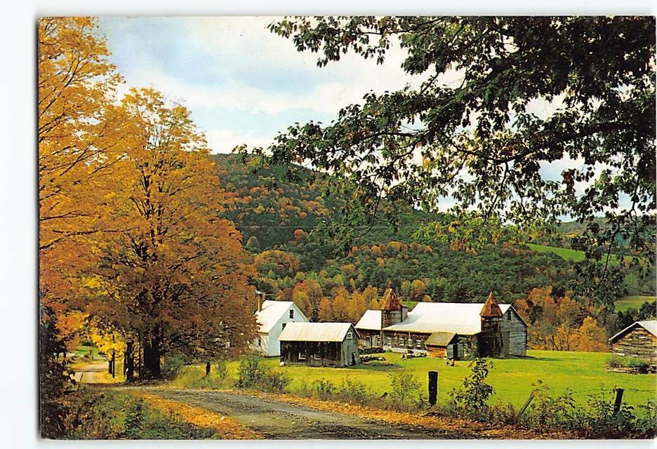 Postcard Quaint Farmstead Vermont USA