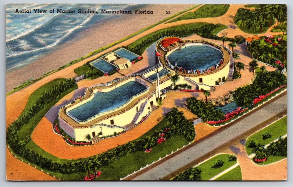 Marineland Florida~Aerial View Of Marine Studios~Tichnor Vintage Linen Postcard