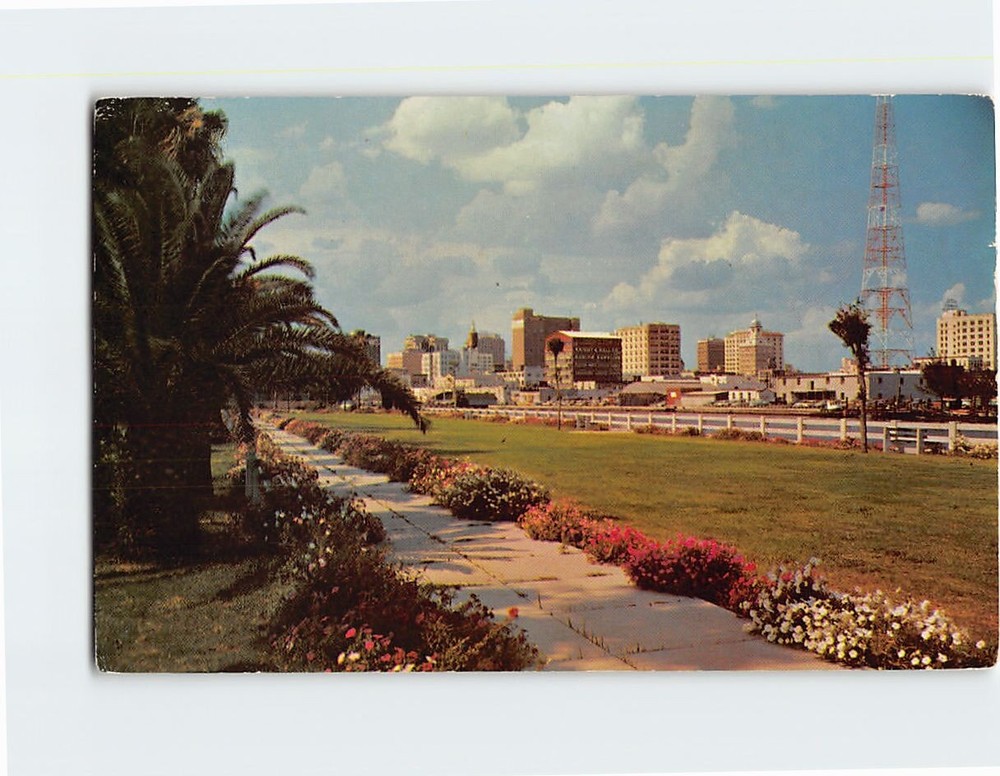 Postcard View Of The Beautiful Skyline Of Tampa Florida USA