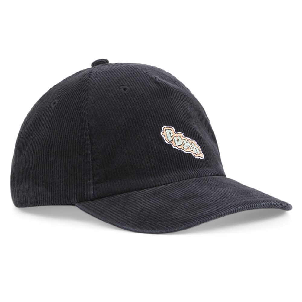 Puma Prime Skate Court Relaxed Low Curve Cap Mens Size OSFA  Athletic Casual 024