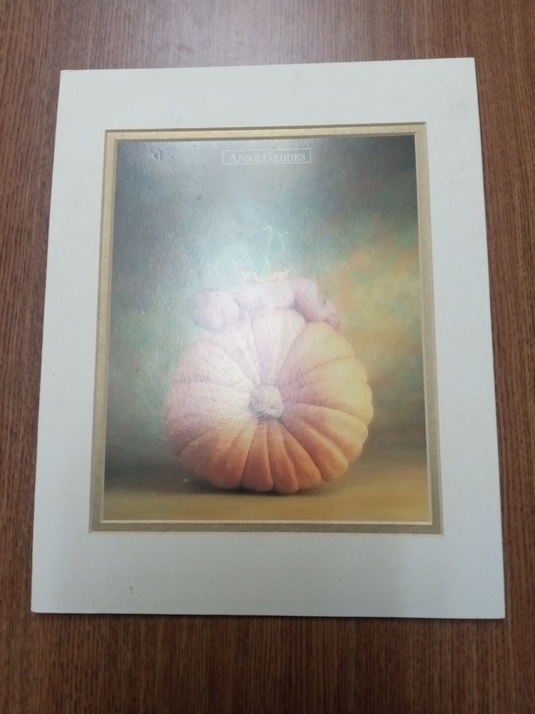 Anne Geddes 1993 Country Pumpkin Baby Framed Photo 8x10