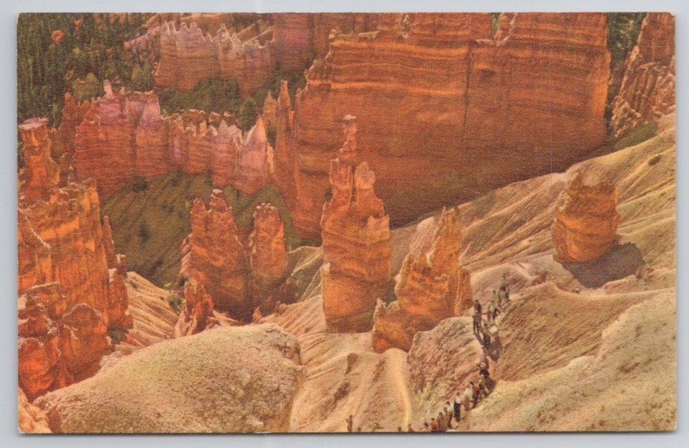 Bryce Canyon National Park Utah Union Pacific Railroad Vintage Postcard