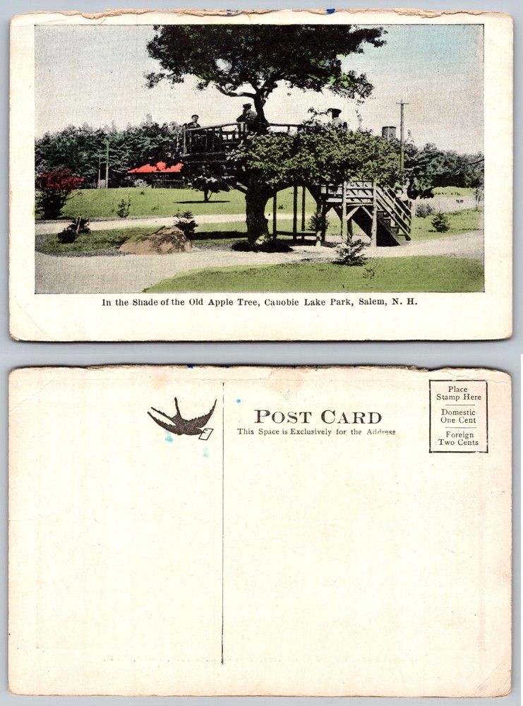 Canobie Lake Park Salem New Hampshire Apple Tree Postcard