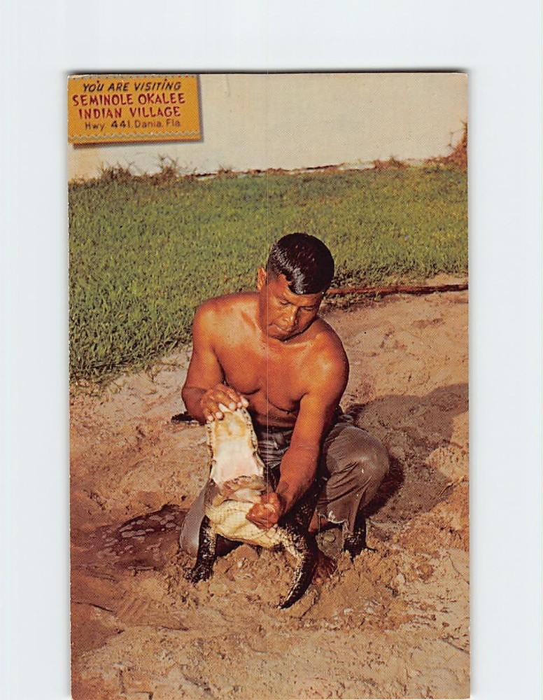 Postcard Indian Alligator Wrestling Seminole Okalee Indian Village & Craft Centr
