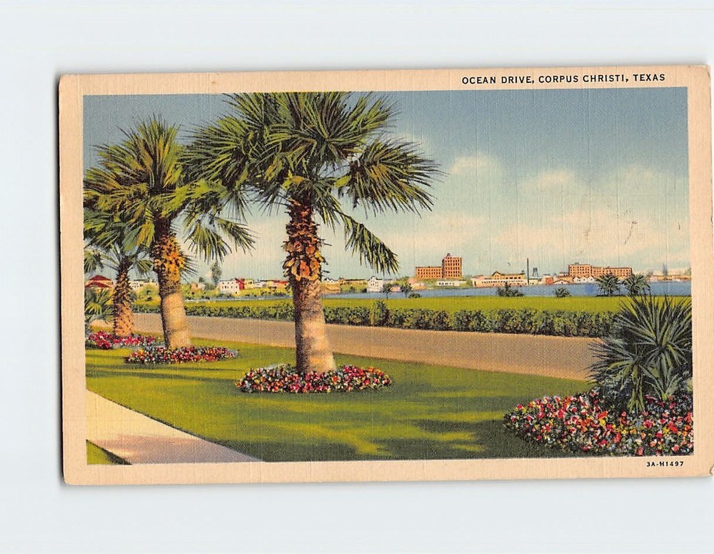 Postcard Ocean Drive Corpus Christi Texas