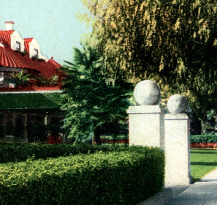 Antique DB Postcard Orange Grove Avenue Pasadena California CA Phostint