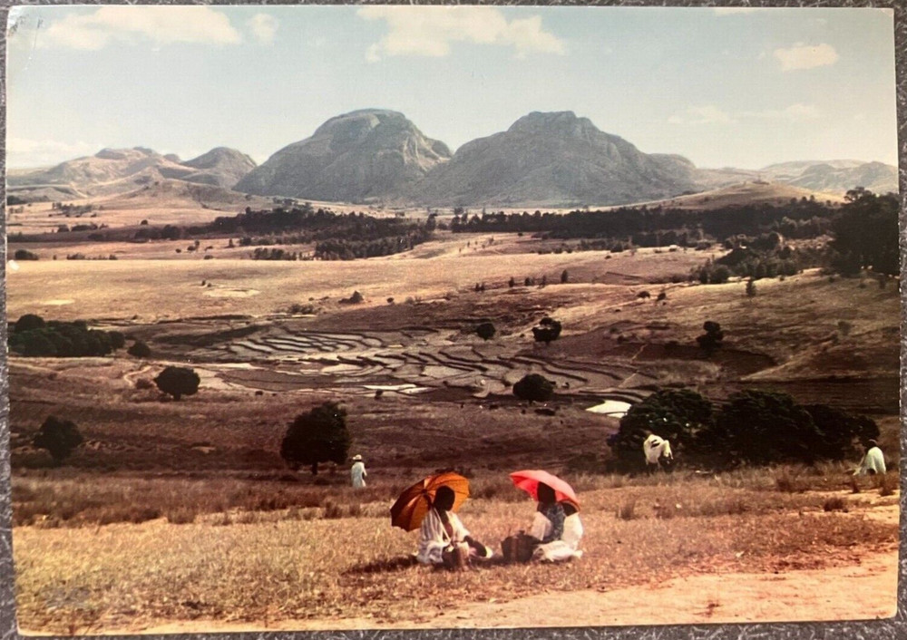 Vintage postcard: Rice fields of the Betsileo, Madagascar, unposted, acq 1967