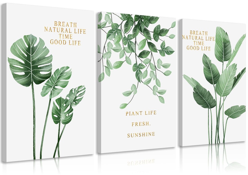 3Pcs Inspirational Green Botanical Canvas Wall Art Eucalyptus Leaves and Mons...