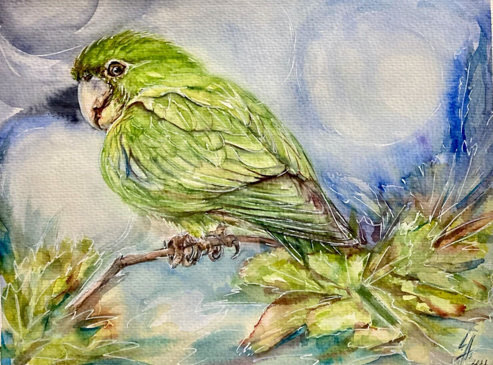 Original Parrot Bird Watercolor Artwork for Vibrant Decor or Gifting