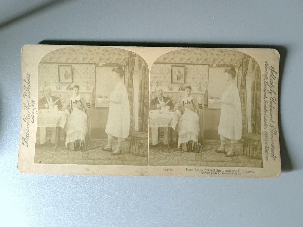 How Biddy Served the Tomatoes Undressed Stereoview Underwood & Underwood 1890s