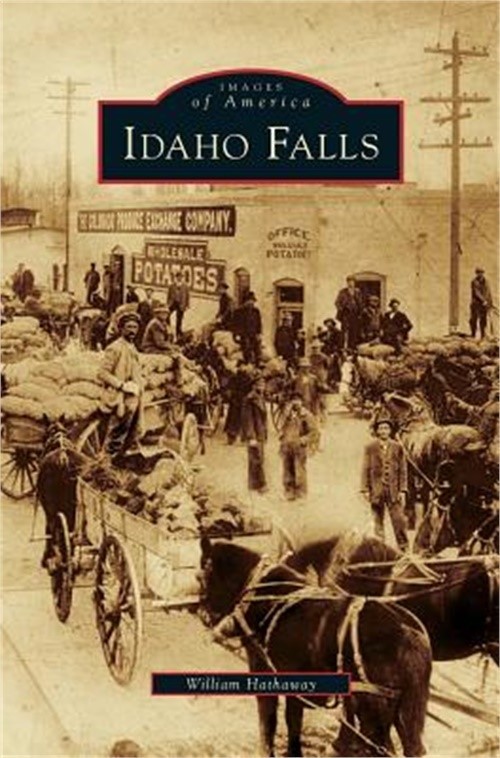 Idaho Falls (Hardback or Cased Book)
