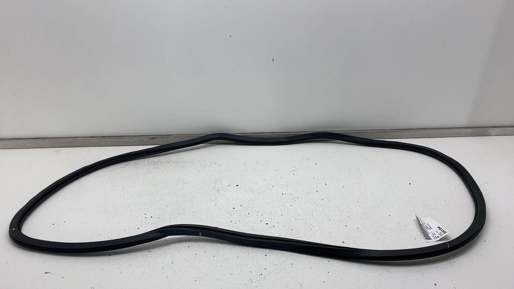 2017-2023 Chrysler Pacifica Left Front Driver Side Door Weatherstrip Seal