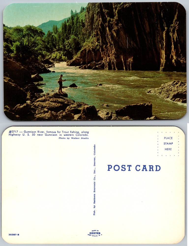 Gunnison Colorado River Canyon Fishing Postcard