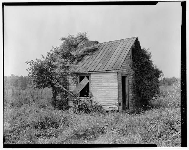 North west elevations. View looking south - Fort Hill Farm, 1 1/2-Story Cabin,