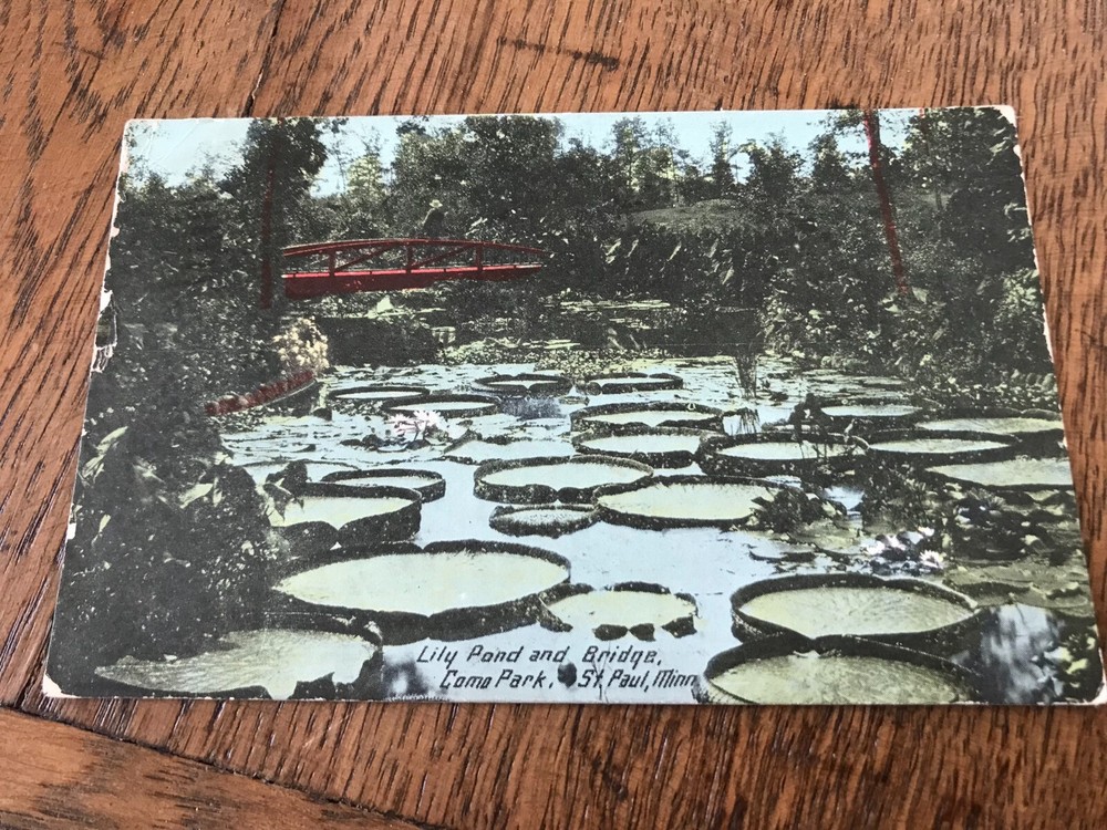 Lily Pond and Bridge Como Park St Paul Minnesota Postcard
