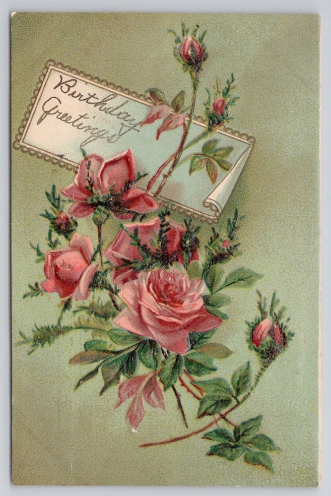 Vintage Embossed Birthday Roses Postcard Easton PA 1909 Postmark
