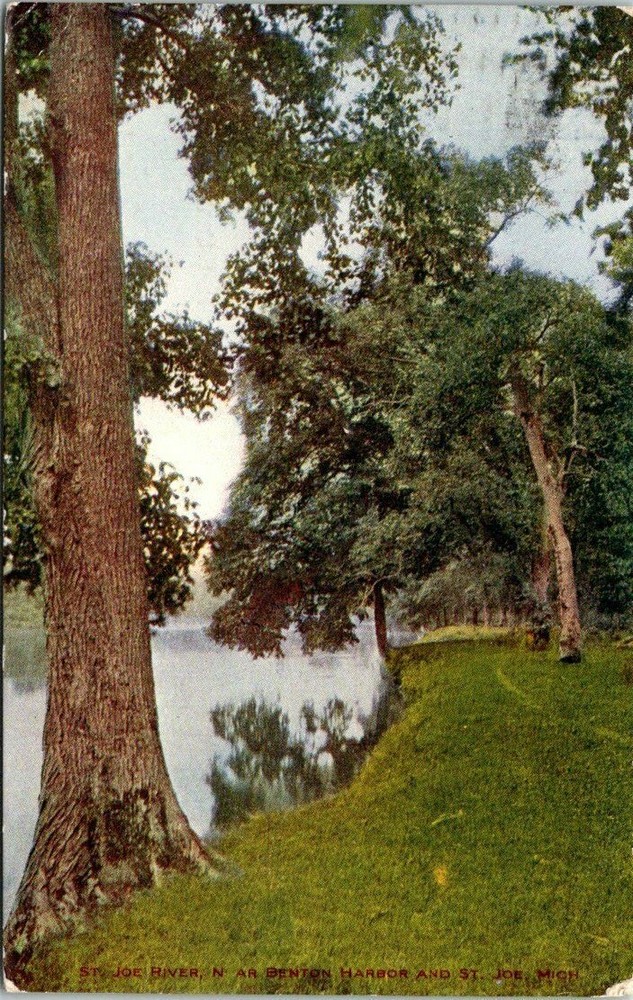 1907 Verdant Banks of the St. Joe River Benton Harbor Michigan Vintage Postcard