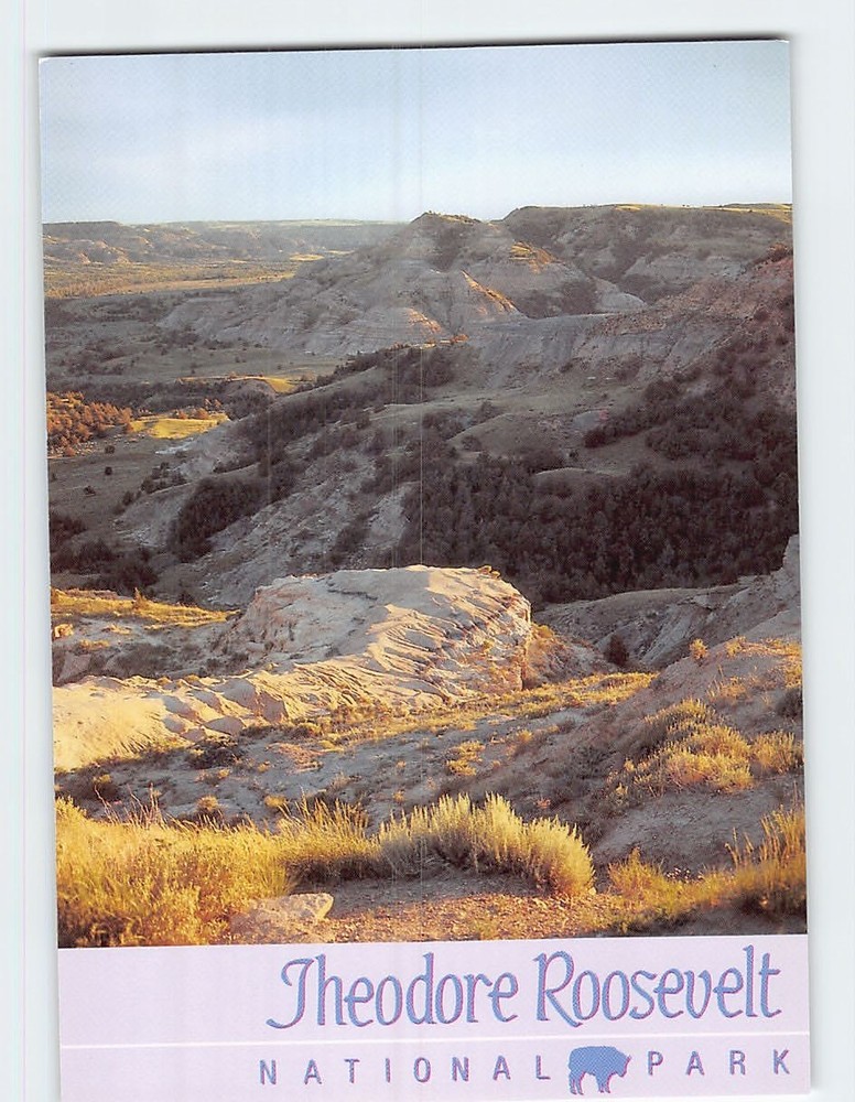 Postcard Theodore Roosevelt National Park North Dakota USA