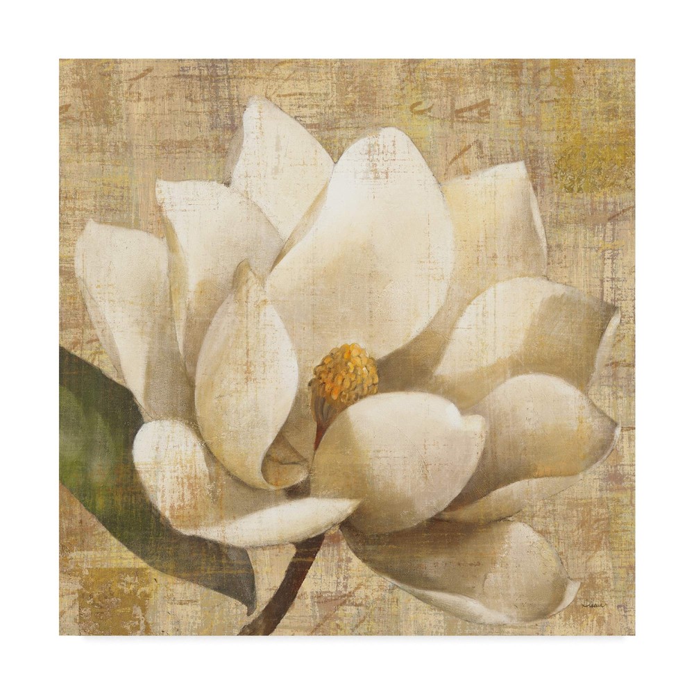 24x24 Magnolia Blossom Script Wall Art by Albena Hristova