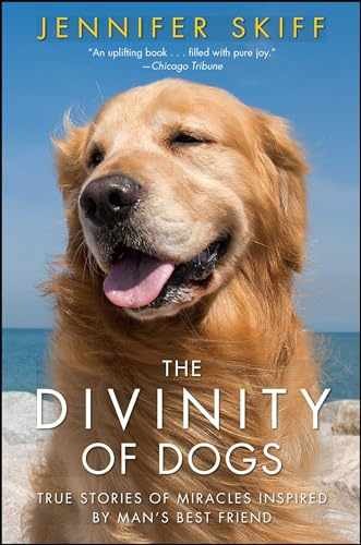 The Divinity of Dogs: True Stories - Paperback, by Skiff Jennifer - Very Good x