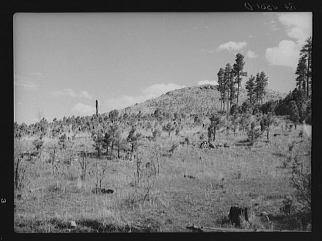 Custer State Park South Dakota 1936 Cut-over Burnt Land Resettlement Area