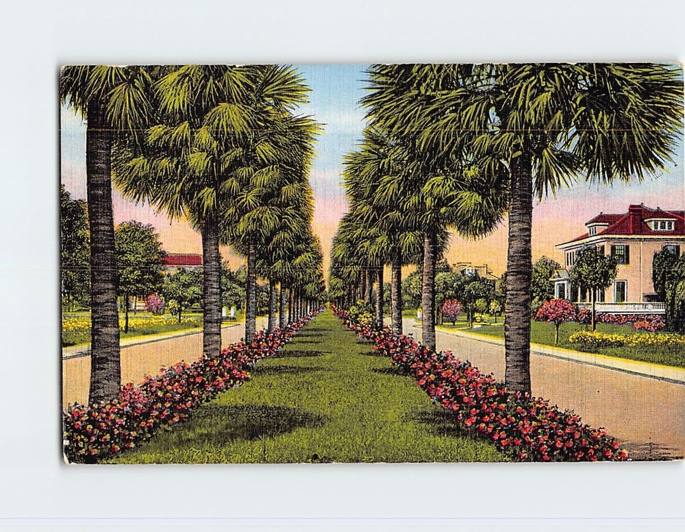 Postcard Victory Drive Savannah Georgia USA